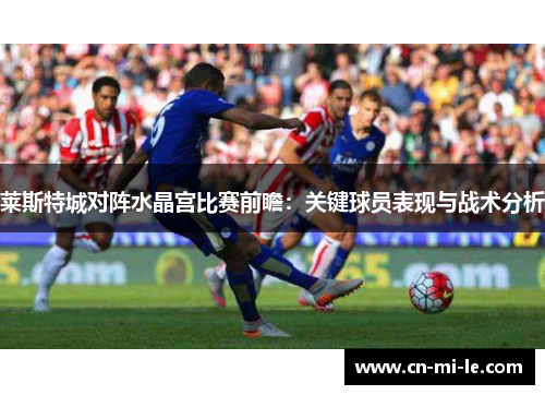 莱斯特城对阵水晶宫比赛前瞻：关键球员表现与战术分析