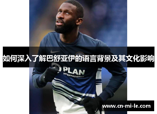 如何深入了解巴舒亚伊的语言背景及其文化影响