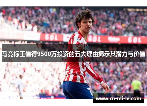 马竞标王值得9500万投资的五大理由揭示其潜力与价值