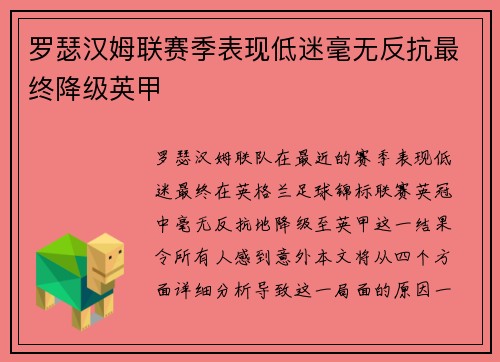 罗瑟汉姆联赛季表现低迷毫无反抗最终降级英甲
