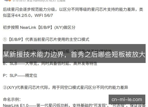 某新援技术能力边界，首秀之后哪些短板被放大