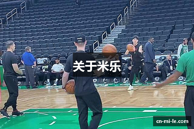 关于米乐